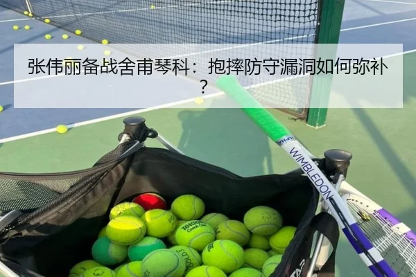 张伟丽备战舍甫琴科：抱摔防守漏洞如何弥补？