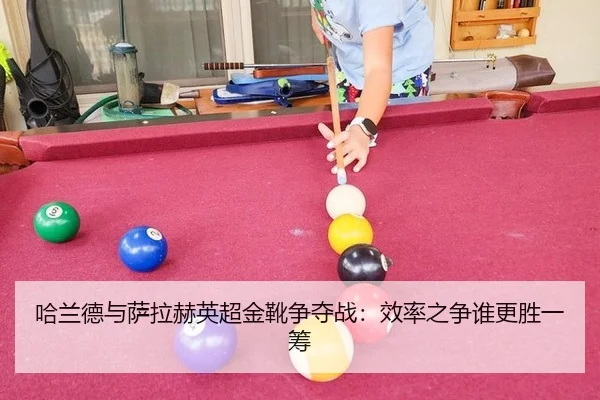 ha-lan-de-yu-sa-la-he-ying-chao-jin-xue-zheng-duo-zhan-xiao-lv-zhi-zheng-shui-geng-sheng-yi-chou-2-448.jpg