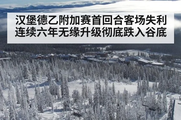 汉堡德乙附加赛首回合客场失利连续六年无缘升级彻底跌入谷底