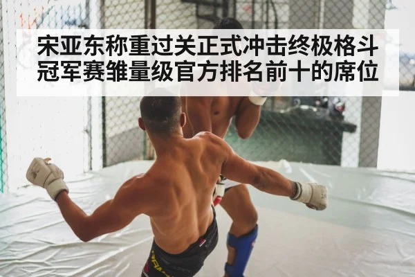 MMA fight