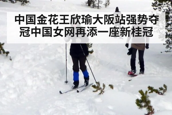 中国金花王欣瑜大阪站强势夺冠中国女网再添一座新桂冠